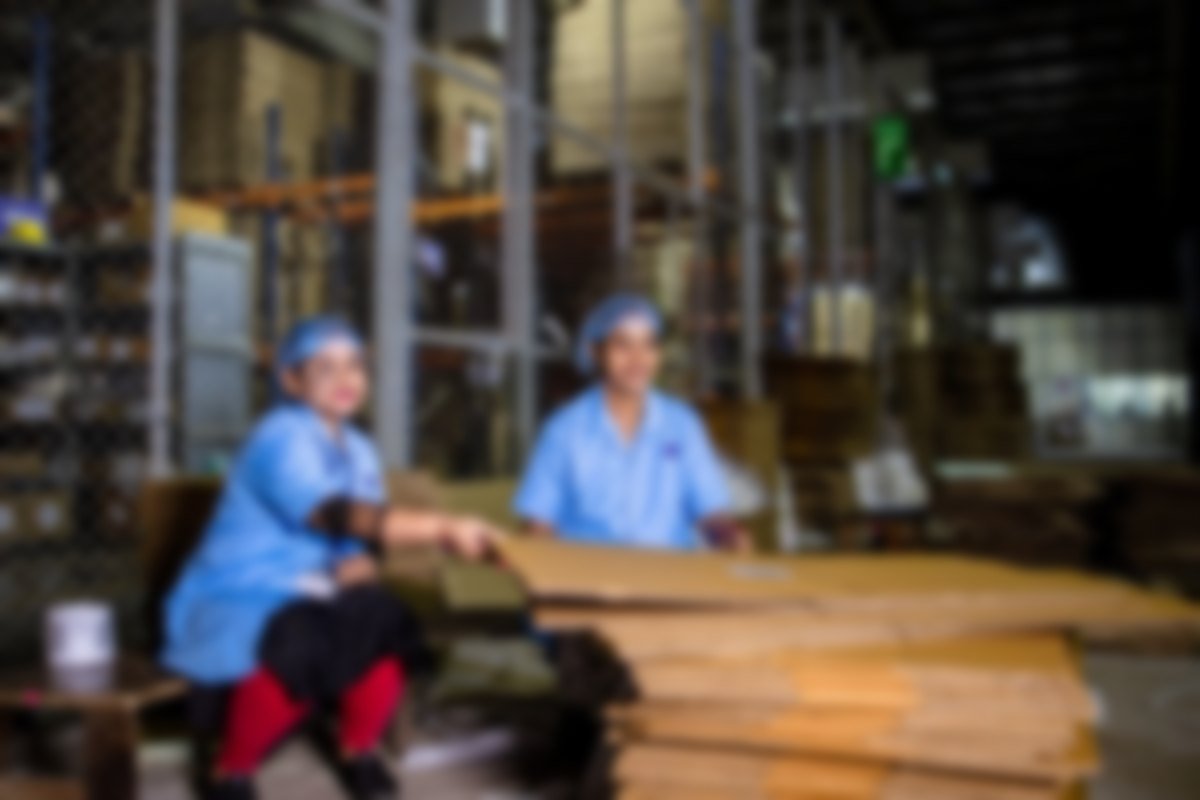 Workers handling corrugated board in a packaging plant